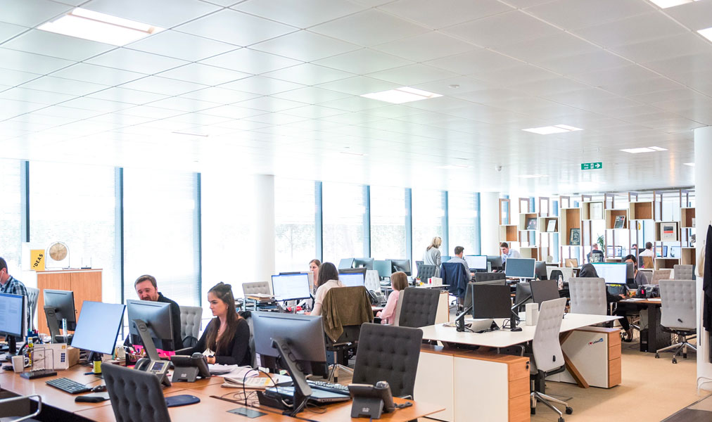 People in an office